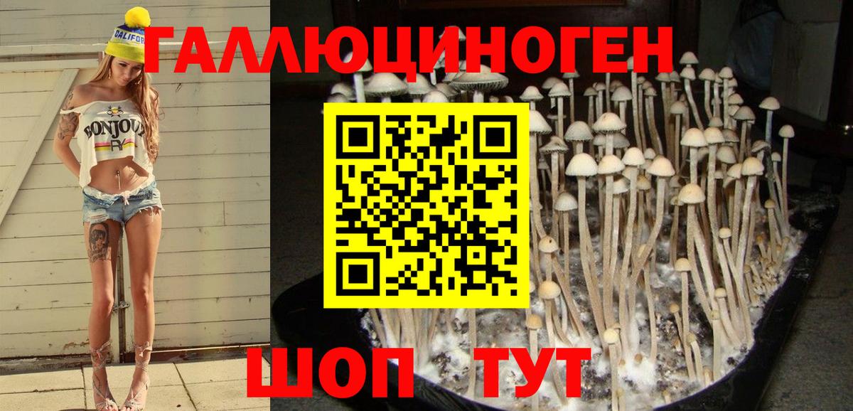 Галлюциногенные грибы MAGIC MUSHROOMS  Вход с VPN  Галлюциногенные грибы Magic Shrooms  Кулебаки 